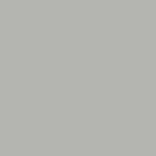 Dove Gray entry door finish